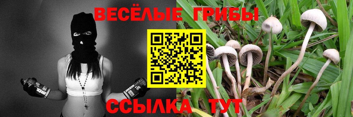 Галлюциногенные грибы Magic Shrooms  Вход с VPN  Псилоцибиновые грибы Psilocybe  Назрань 